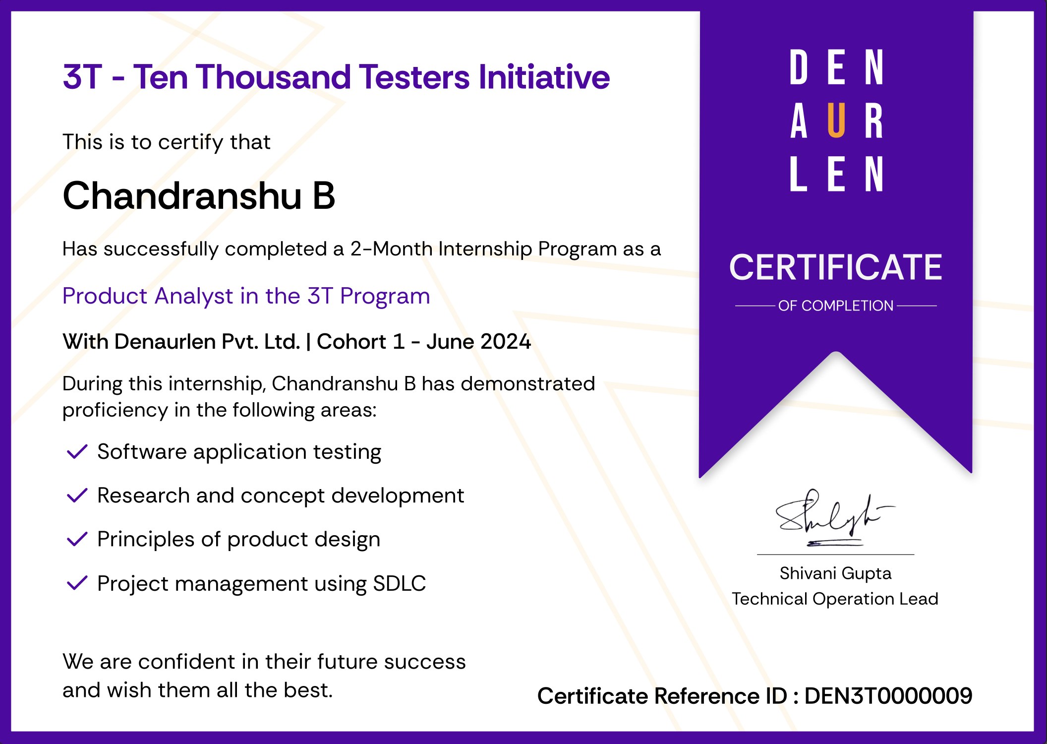 Internship Certificate Preview